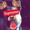 nathanmccloud23